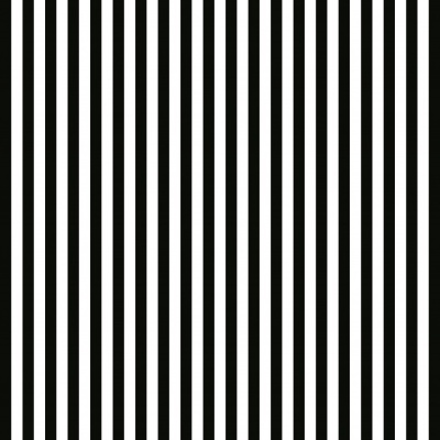 Riscas  - Plastificado