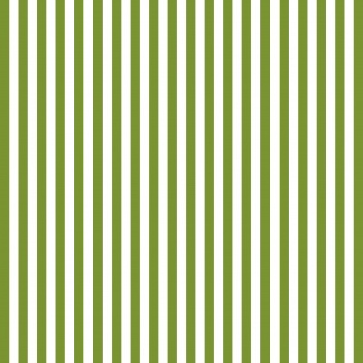 Riscas  - Plastificado