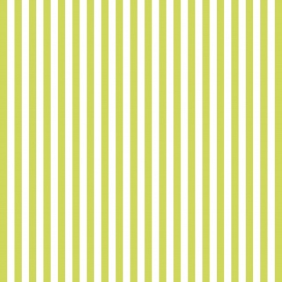 Riscas  - Plastificado