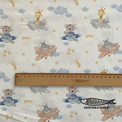 Bichinhos nas nuvens - Aviões e Balões Bichinhos nas nuvens - Aviões e Balões