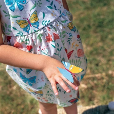 Butterfly path Butterfly path