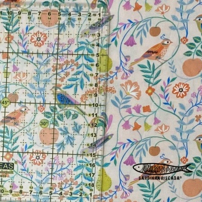 Songbird - Birds Natural