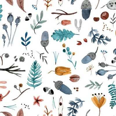 Squirrel forest Poplin Fabric