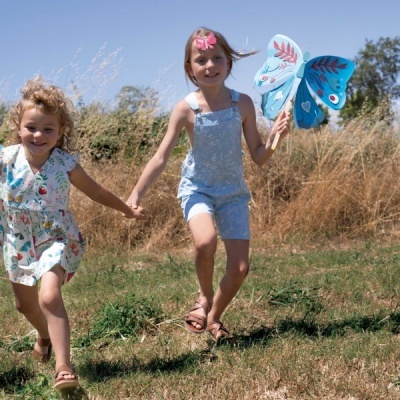 Butterfly path Butterfly path