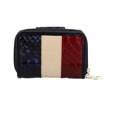 Carteira pequena com fecho, textura pele de cobra, cores azul, bege e vermelho