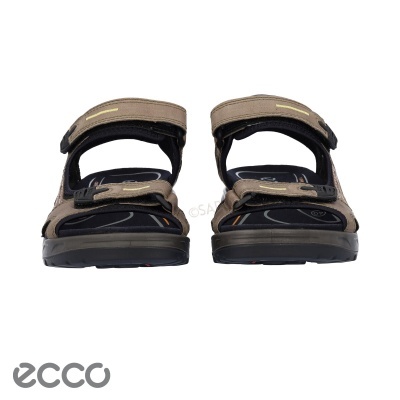Sandálias castanhas e pretas ECCO com tiras ajustáveis em fundo branco