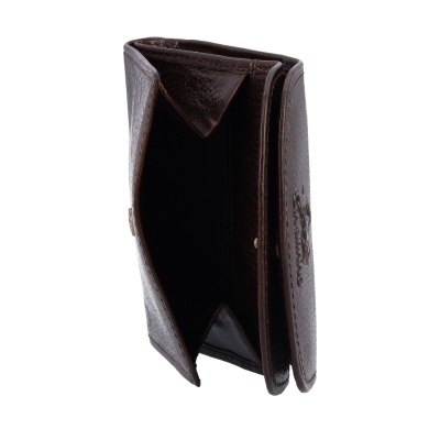 Carteira de pele castanha aberta