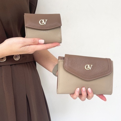 Carteira e porta-moedas em pele castanho e bege com fecho dourado CV