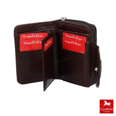 Carteira de pele castanha com compartimentos para cartões