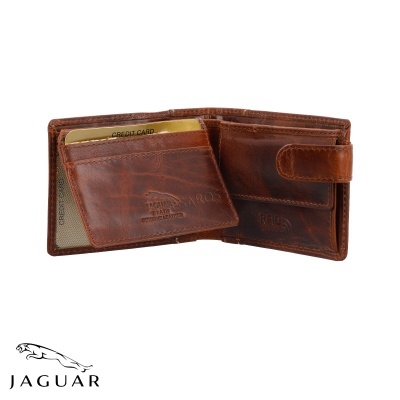 Carteira Jaguar de pele castanha aberta com cartão crédito dourado