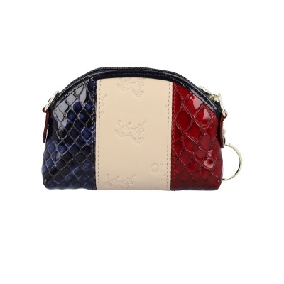 Estojo colorido com textura de pele de crocodilo e fecho preto