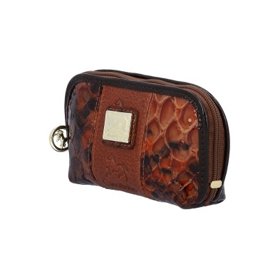 Carteira pequena em couro castanho com padrão de pele de cobra e detalhe metálico dourado