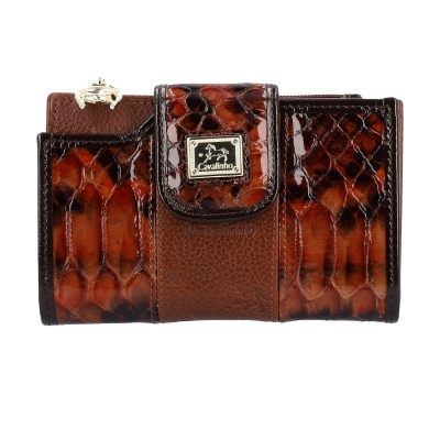 Carteira Cavalinho castanha com textura pele de cobra e placa metálica dourada