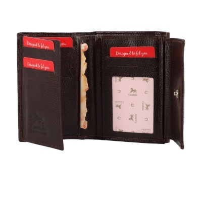 Carteira de pele castanha escura com divisórias e cartões vermelhos e janela transparente