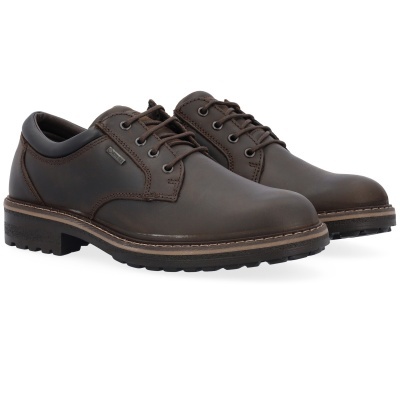 Sapatos masculinos castanhos escuros GORE-TEX em fundo branco