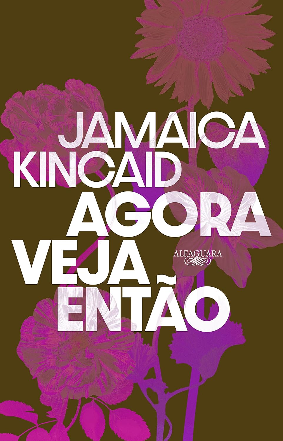 Agora veja então Capa de livro com fundo castanho, flores rosas e texto branco