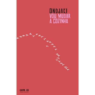 Capa de livro vermelha com título VOU MUDAR A COZINHA e aves brancas voando em formação