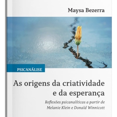 Capa de livro com flor amarela numa fissura e título sobre criatividade e esperança