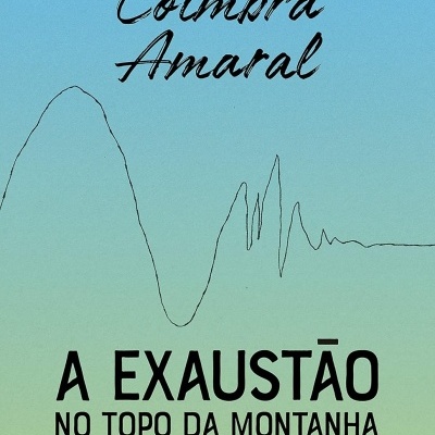 Capa de livro A EXAUSTÃO NO TOPO DA MONTANHA de Alexandre Coimbra Amaral