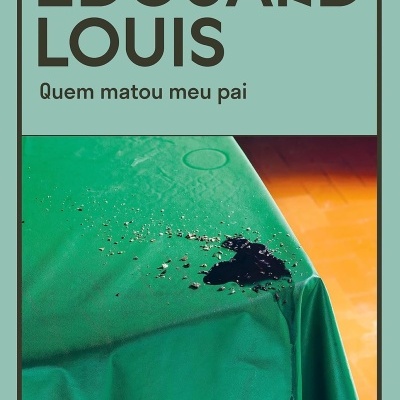 Capa de livro ou revista com texto e imagem de tecido verde manchado sobre superfície de madeira.