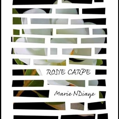 Capa de livro com flor branca e texto manuscrito RONE CARPE e Marie NDiaye