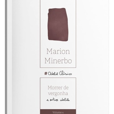 Capa de livro branca com texto e retângulo castanho