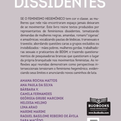 Capa de livro FEMINISMOS DISSIDENTES com texto e lista de autores
