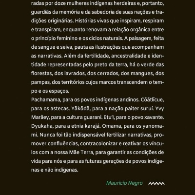 Contracapa de livro com texto em português, código de barras e ISBN 978-65-81776-41-1