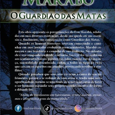 Contracapa do livro Marabó O Guardião das Matas com texto e fundo árvores ao entardecer