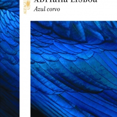 Capa de livro com penas azuis e texto Azul corvo de Adriana Lisboa