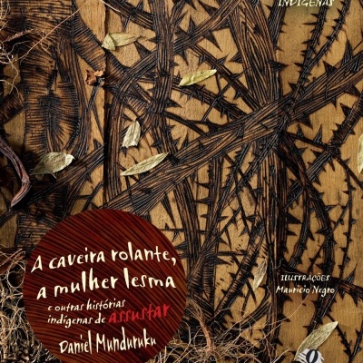 Capa de livro ilustrada com elementos naturais secos e texto em português
