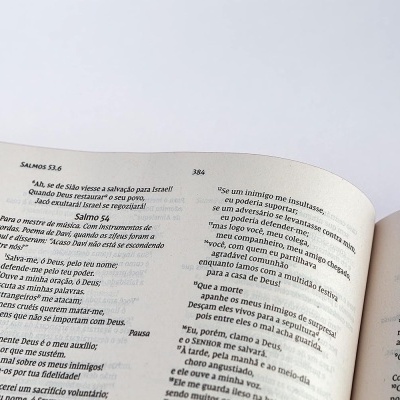 Livro aberto com texto bíblico em português nas páginas 384, margem vermelha