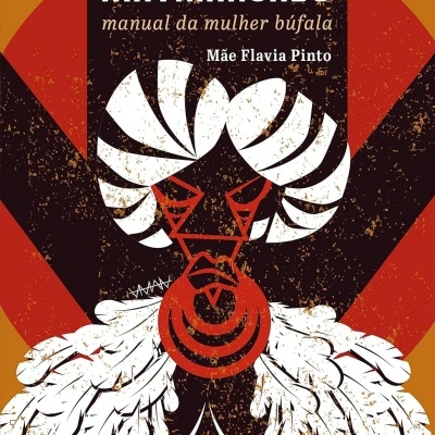 Capa do livro Salve o Matriarcado com ilustração estilizada de mulher e texto em castanho, laranja e vermelho.