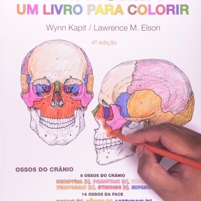 Capa de livro de anatomia para colorir com ilustrações de crânios e mão a colorir