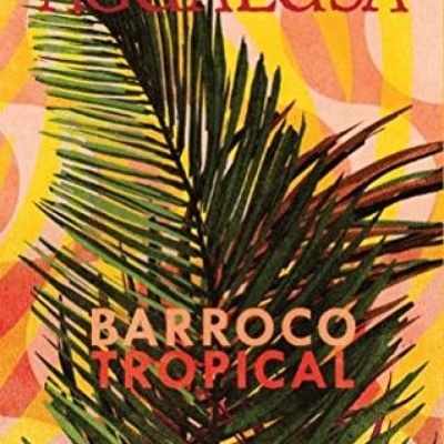 Capa de livro colorida com folha de palmeira e texto