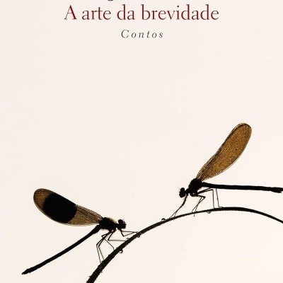 Capa do livro A arte da brevidade de Virginia Woolf com imagem de duas libélulas