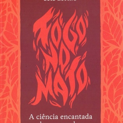 Capa de livro FOGO NO MATO com design em chamas e padrões alaranjados