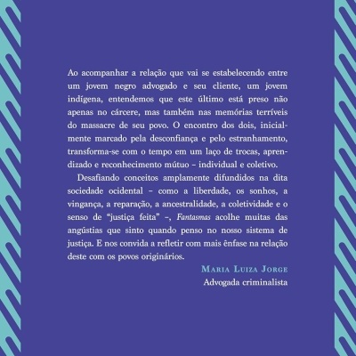 Capa traseira azul de livro com moldura verde e texto em português