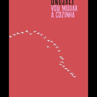 Capa de livro vermelho com texto e desenho de pássaros brancos