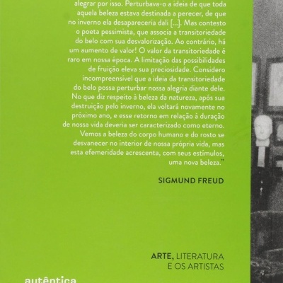 Capa de livro verde com texto em português e detalhes editoriais