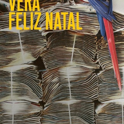 Capa de livro com jornais amarrados e arara colorida com texto em amarelo e branco