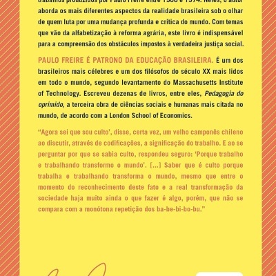 Contracapa de livro com texto em português, fundo amarelo e borda laranja com linhas diagonais
