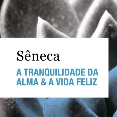 Capa de livro com pétalas desfocadas e texto do título em azul e preto