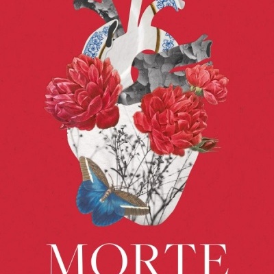 Capa do livro Morte Aparente com coração artístico e flores sobre fundo vermelho.