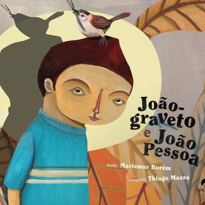 Capa de livro com ilustração de menino e pássaro e texto em português.