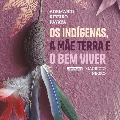 Capa de livro colorida com penas decorativas e texto em português