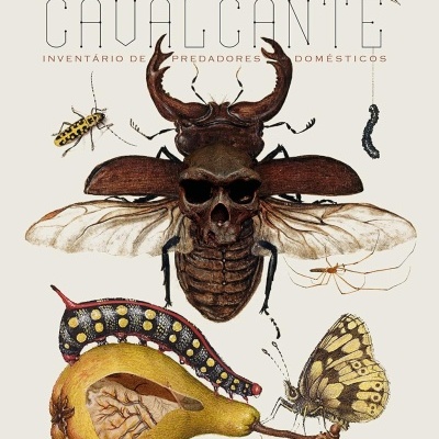 Ilustração de vários insetos e texto de título do livro.