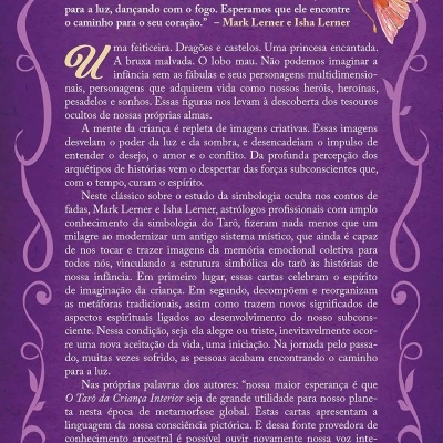 Verso de livro com texto em português e ilustração de rapaz numa asa de borboleta