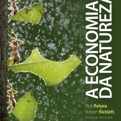 Capa de livro com formigas carregando folhas verdes na chuva e texto literário branco.