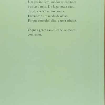 Contracapa de livro verde com texto em português e código de barras